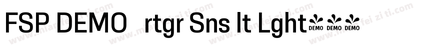 FSP DEMO   rtgr Sns lt Lght字体转换